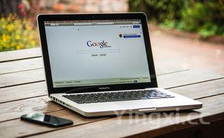 家用面包机哪个牌子好,家用面包机哪款性价比高