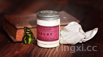 白酒泡制杜仲的方法,你知道怎么操作吗?