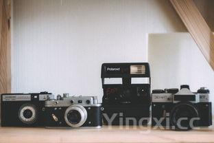 想买烤箱,有什么建议，十大不建议买烤箱