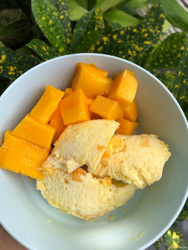 自己制作冰淇淋的方法作文,自己制作冰淇淋的方法