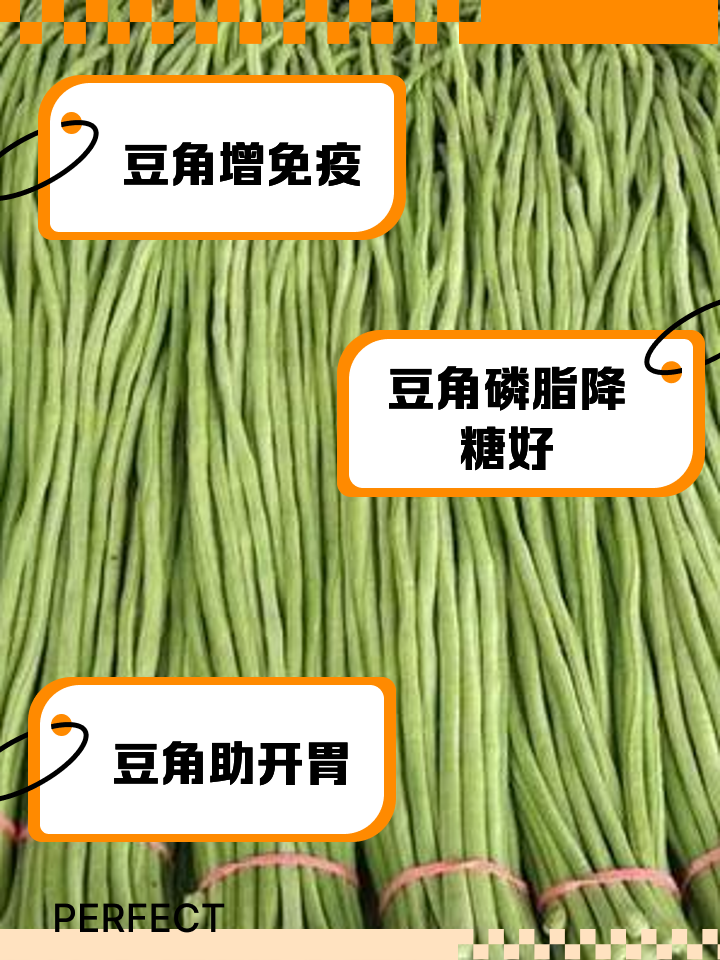 豆角的功效与作用,茄子的功效与作用