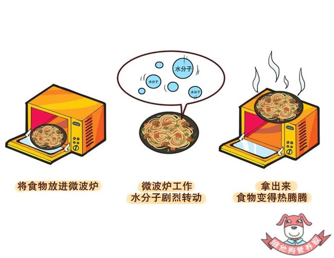 不能进微波炉的13样东西图片大全,不能进微波炉的13样东西